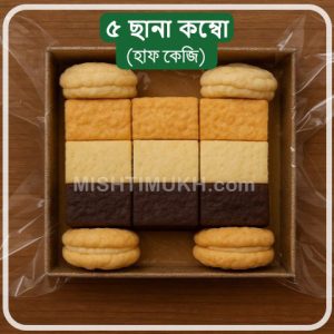 5 Item Chhana Sandesh Combo Box (500gm) - ৫ আইটেম ছানা সন্দেশ কম্বো বক্স (৫০০ গ্রাম)